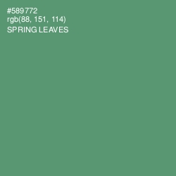 #589772 - Spring Leaves Color Image